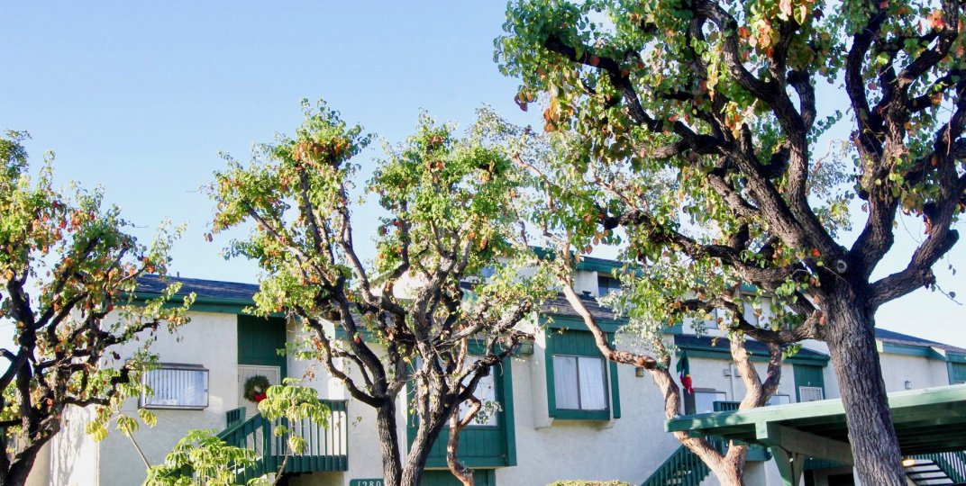 Greenhouse West Condos, Lofts & Townhomes For Sale Greenhouse West