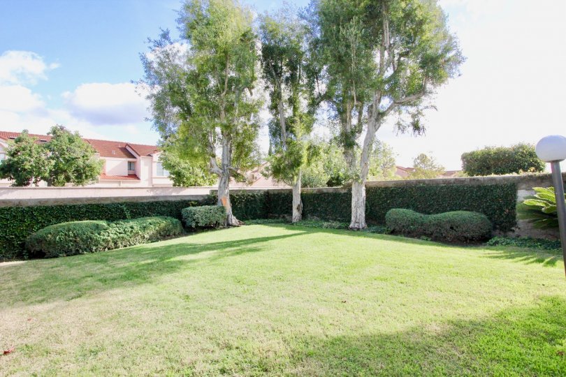 Hewitt Place Townhomes Condos, Lofts & Townhomes For Sale Hewitt