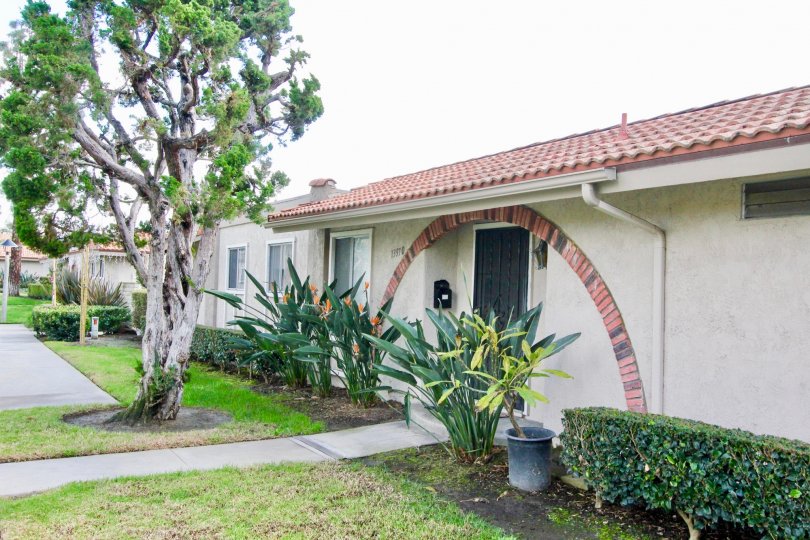 La Jolla Plaza Condos, Lofts & Townhomes For Sale La Jolla Plaza Real