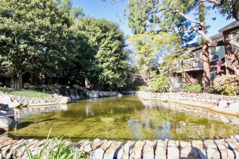 Lake Grove Condos, Lofts & Townhomes For Sale Lake Grove Real Estate