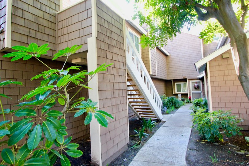 Lake Grove Condos, Lofts & Townhomes For Sale Lake Grove Real Estate