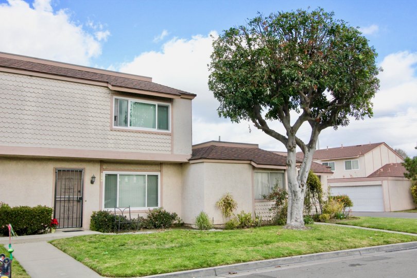 New Brookdale Condos, Lofts & Townhomes For Sale New Brookdale Real