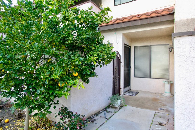 Peppertree Townhomes Condos, Lofts & Townhomes For Sale Peppertree