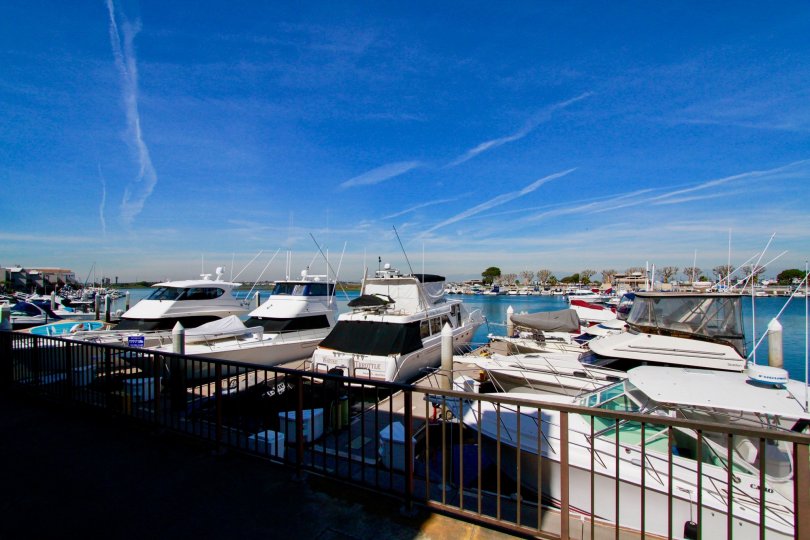 Bayport Condos, Lofts & Townhomes For Sale Bayport Real Estate