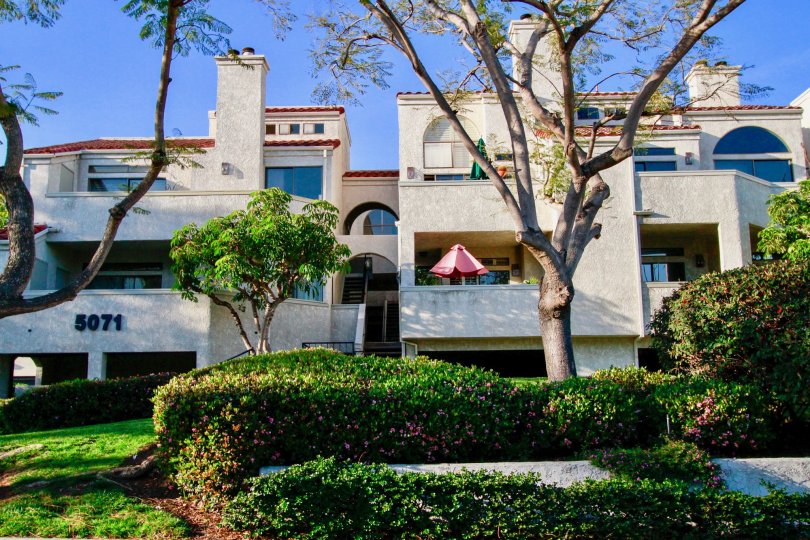 Cabo Del Mar Condos, Lofts & Townhomes For Sale Cabo Del Mar Real