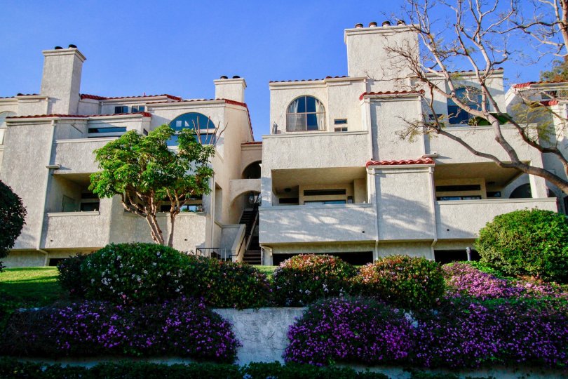 Cabo Del Mar Condos, Lofts & Townhomes For Sale Cabo Del Mar Real Estate Cabo Del Mar