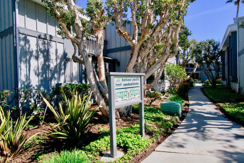 Harbour Pacific Condos, Lofts & Townhomes For Sale Harbour Pacific