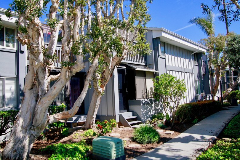 Harbour Pacific Condos, Lofts & Townhomes For Sale Harbour Pacific