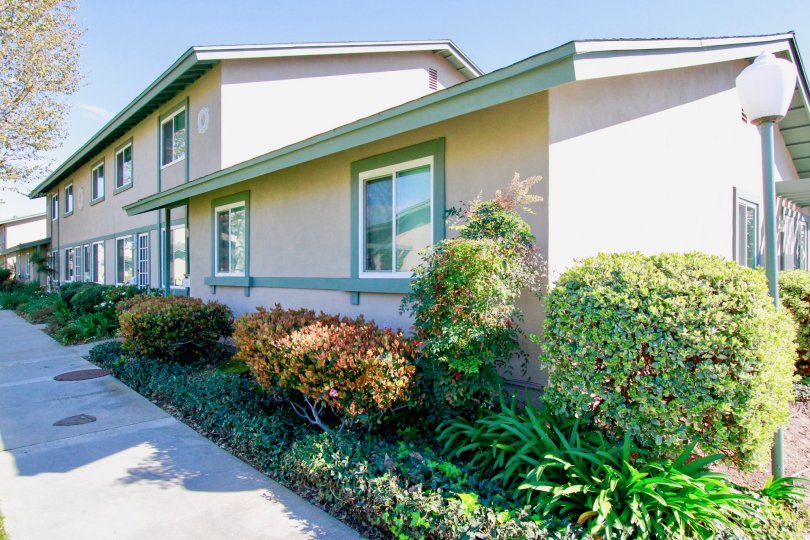 Huntington Townhomes Condos, Lofts & Townhomes For Sale Huntington Townhomes Real Estate