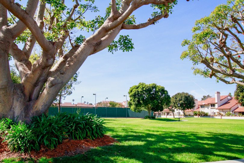 La Cuesta By the Sea Condos, Lofts & Townhomes For Sale La Cuesta By the Sea Real Estate La