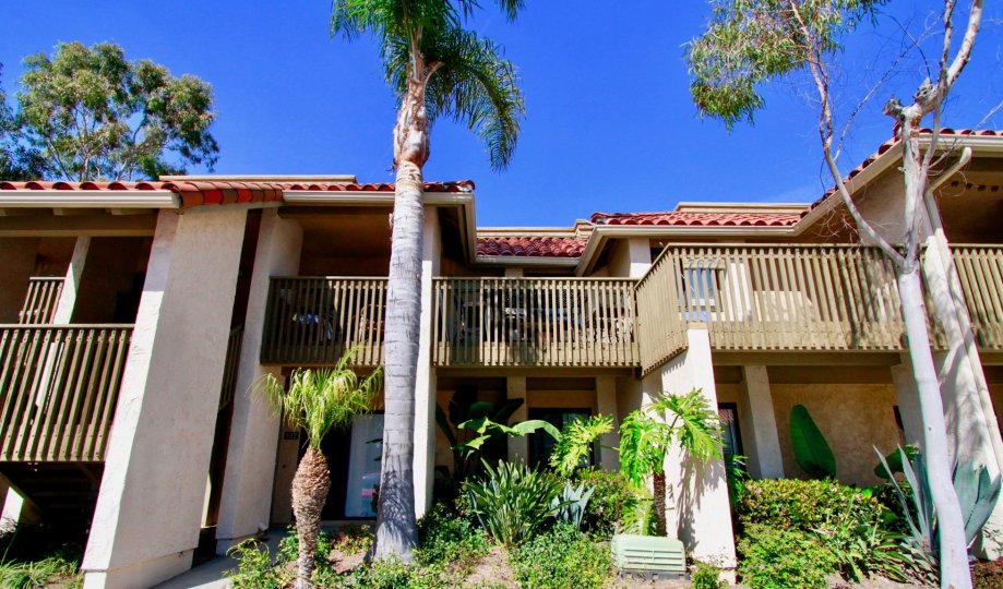 Las Brisas Condos, Lofts & Townhomes For Sale Las Brisas Real Estate