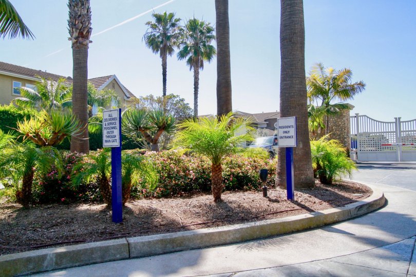 Mystic Pointe Condos, Lofts & Townhomes For Sale Mystic Pointe Real