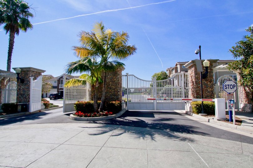 Mystic Pointe Condos, Lofts & Townhomes For Sale Mystic Pointe Real