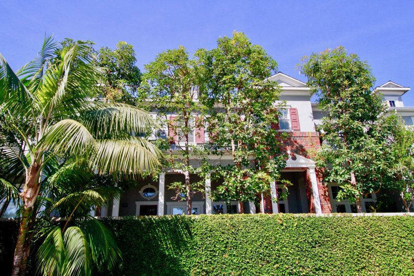 Mystic Pointe Condos, Lofts & Townhomes For Sale Mystic Pointe Real