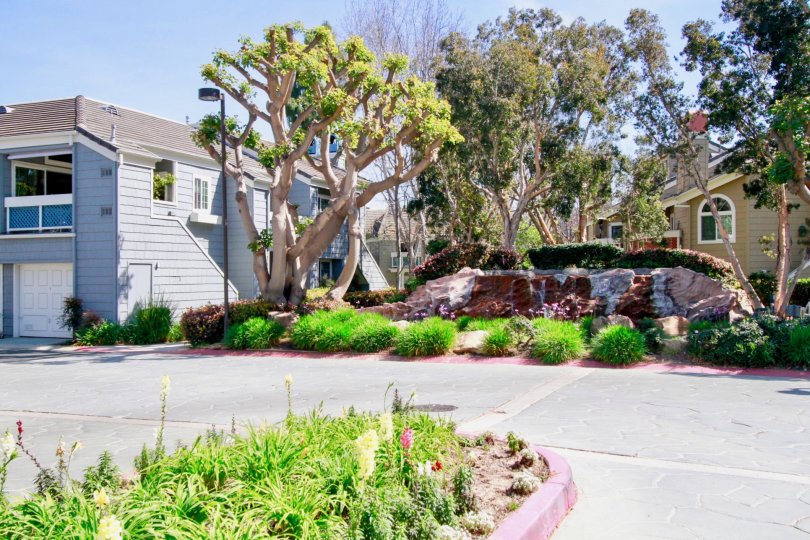 Pacific Ranch Townhomes Condos, Lofts & Townhomes For Sale Pacific