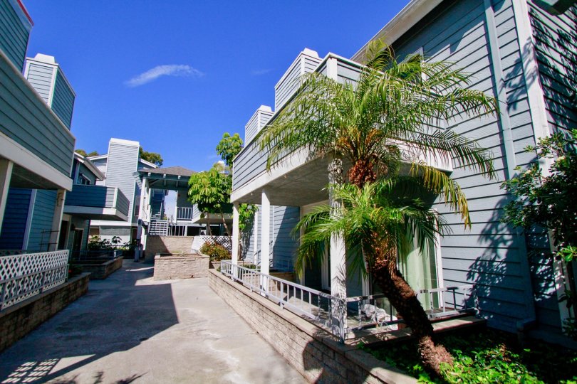 Pelican Cove Condos, Lofts & Townhomes For Sale Pelican Cove Real