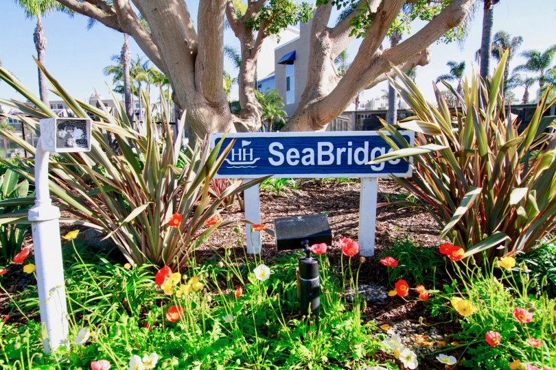 Seabridge Condos, Lofts & Townhomes For Sale Seabridge Real Estate