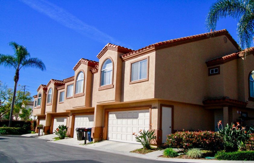 Seacliff Palms Condos, Lofts & Townhomes For Sale Seacliff Palms Real