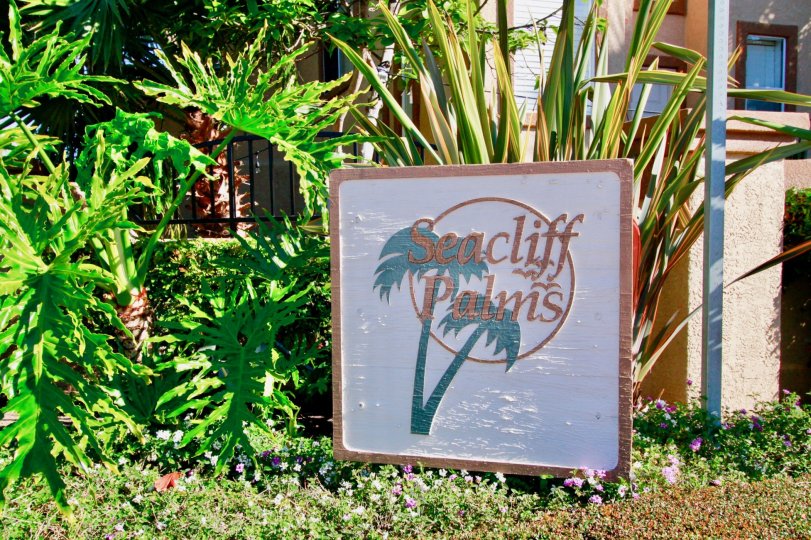 Seacliff Palms Condos, Lofts & Townhomes For Sale Seacliff Palms Real