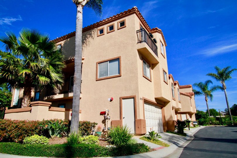 Seacliff Palms Condos, Lofts & Townhomes For Sale Seacliff Palms Real