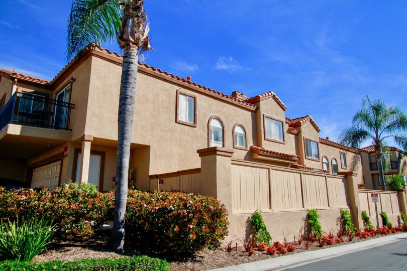 Seacliff Palms Condos, Lofts & Townhomes For Sale Seacliff Palms Real