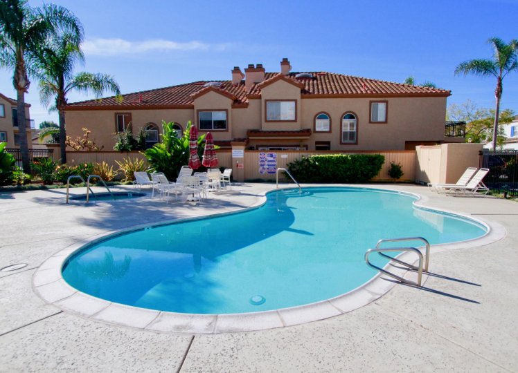 Seacliff Palms Condos, Lofts & Townhomes For Sale Seacliff Palms Real