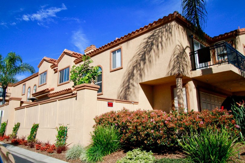 Seacliff Palms Condos, Lofts & Townhomes For Sale Seacliff Palms Real