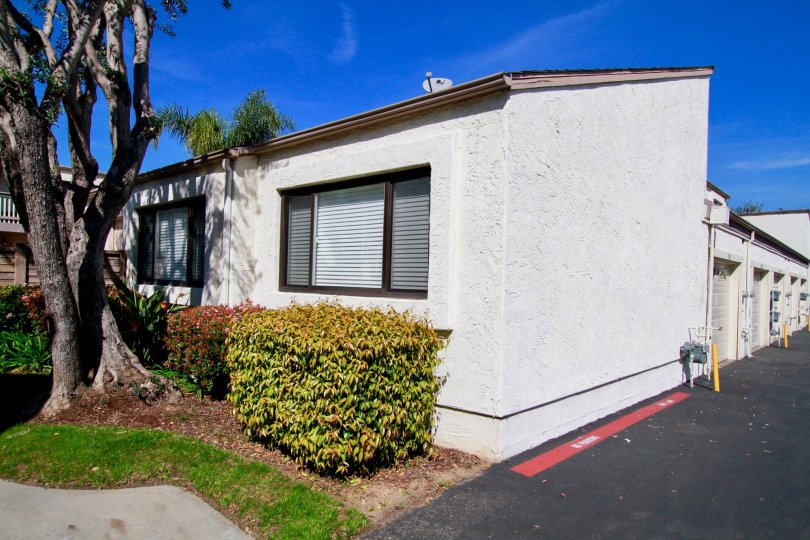 Tamarack Village Condos, Lofts & Townhomes For Sale Tamarack Village