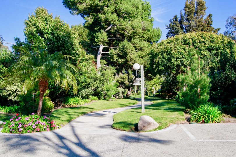 Tennis Estates Condos Lofts Townhomes For Sale Tennis Estates Real