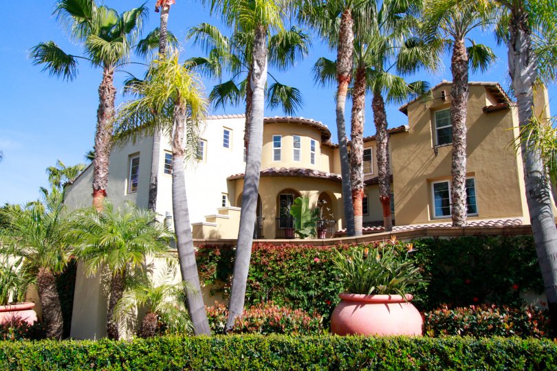 The Waterfront Condos, Lofts & Townhomes For Sale The Waterfront Real