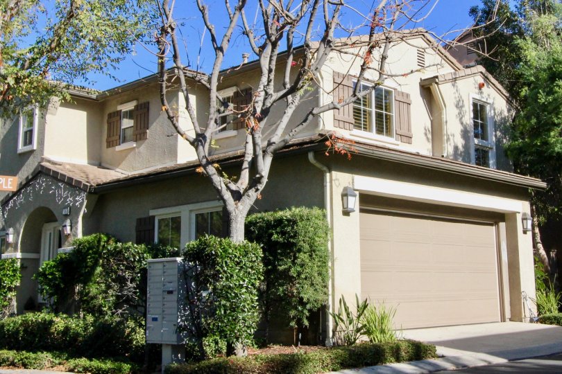 Acacia Condos, Lofts & Townhomes For Sale Acacia Real Estate Acacia