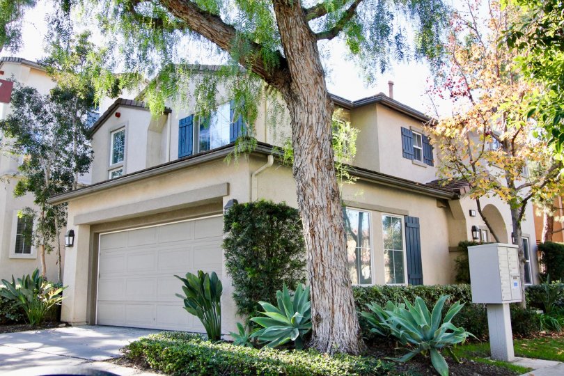 Acacia Condos, Lofts & Townhomes For Sale Acacia Real Estate Acacia