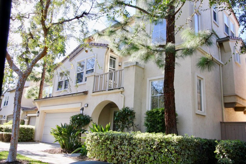 Acacia Condos, Lofts & Townhomes For Sale Acacia Real Estate Acacia