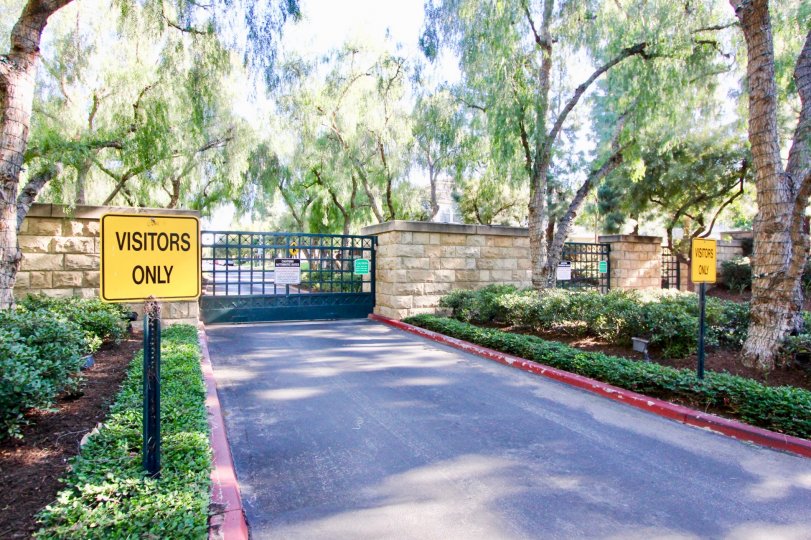 Acacia Condos, Lofts & Townhomes For Sale Acacia Real Estate Acacia