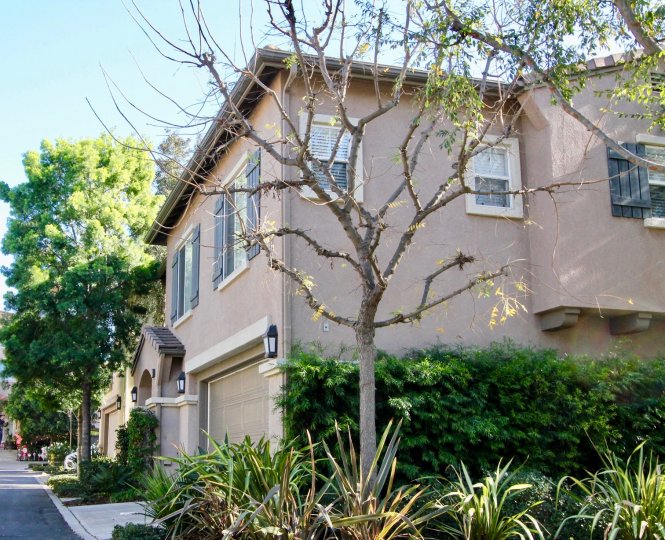 Acacia Condos, Lofts & Townhomes For Sale Acacia Real Estate Acacia