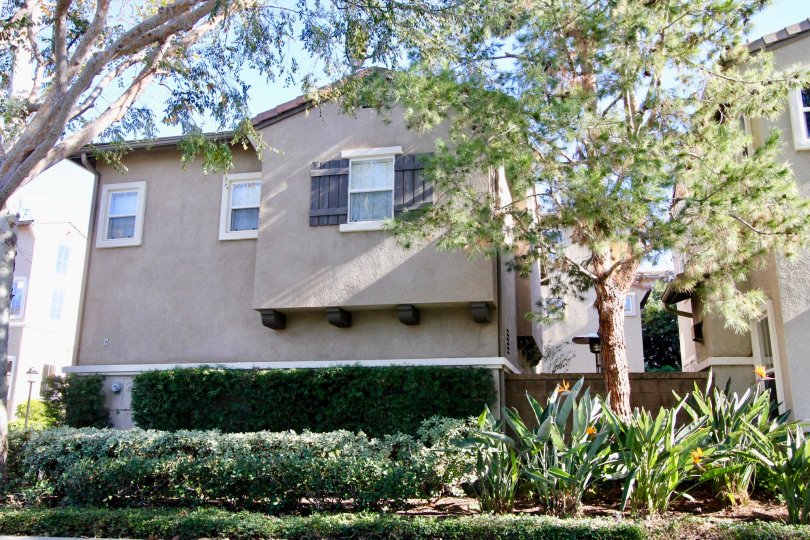 Acacia Condos, Lofts & Townhomes For Sale Acacia Real Estate Acacia