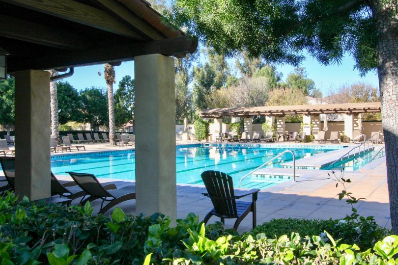 Bella Rosa Condos, Lofts & Townhomes For Sale Bella Rosa Real Estate