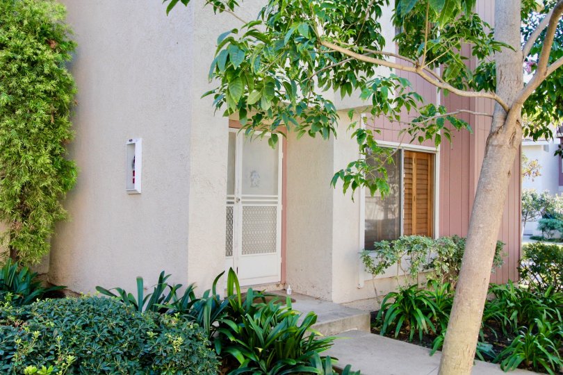 Deerfield Townhomes Condos, Lofts & Townhomes For Sale Deerfield