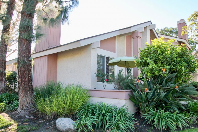 Deerfield Townhomes Condos, Lofts & Townhomes For Sale Deerfield