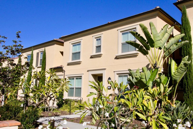 Jade Court Condos, Lofts & Townhomes For Sale Jade Court Real Estate