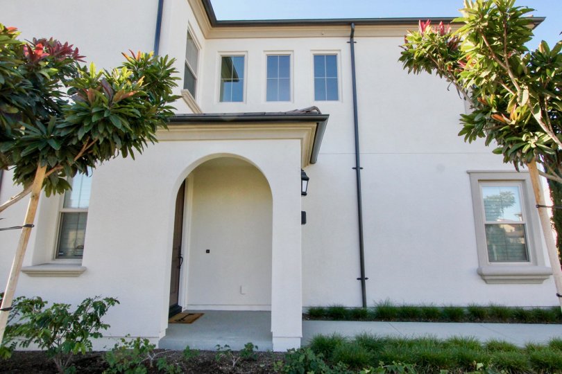 Jasmine Condos, Lofts & Townhomes For Sale Jasmine Real Estate