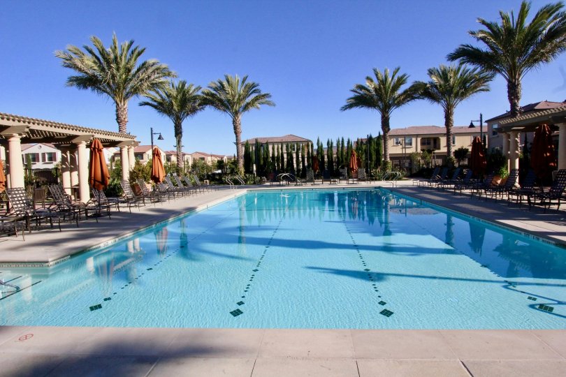 Jasmine Condos, Lofts & Townhomes For Sale Jasmine Real Estate