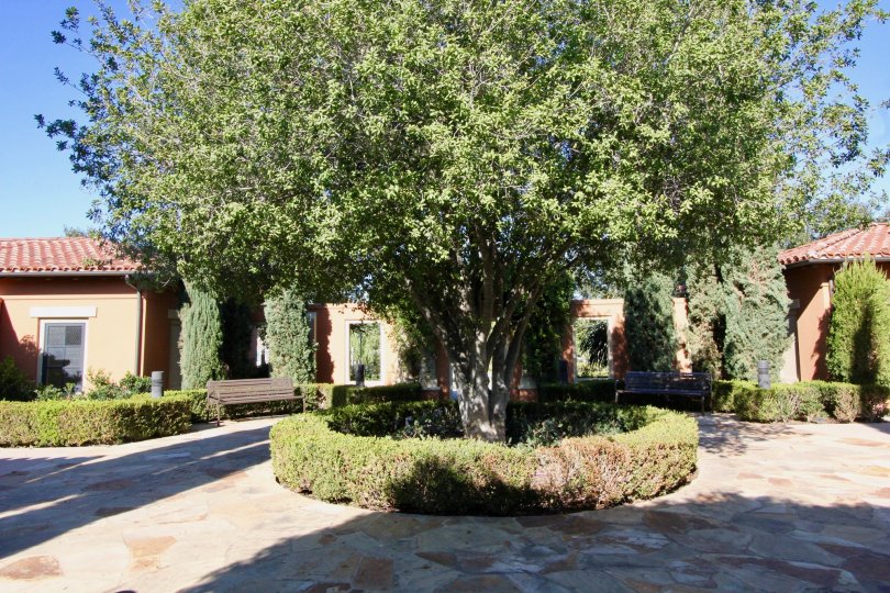 Manzanita Condos, Lofts & Townhomes For Sale Manzanita Real Estate