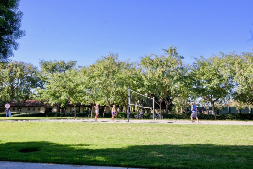 Montilla Condos, Lofts & Townhomes For Sale Montilla Real Estate