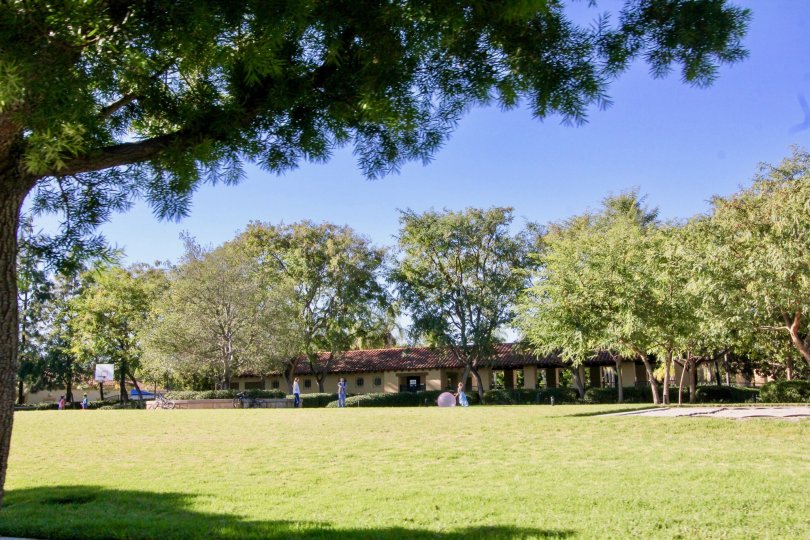 Montilla Condos, Lofts & Townhomes For Sale Montilla Real Estate