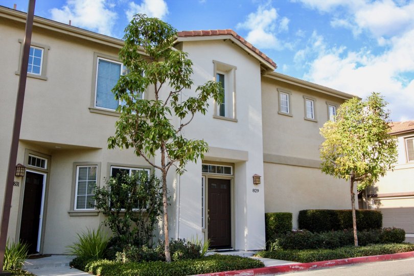 Northwood Pointe Condos, Lofts & Townhomes For Sale Northwood Pointe