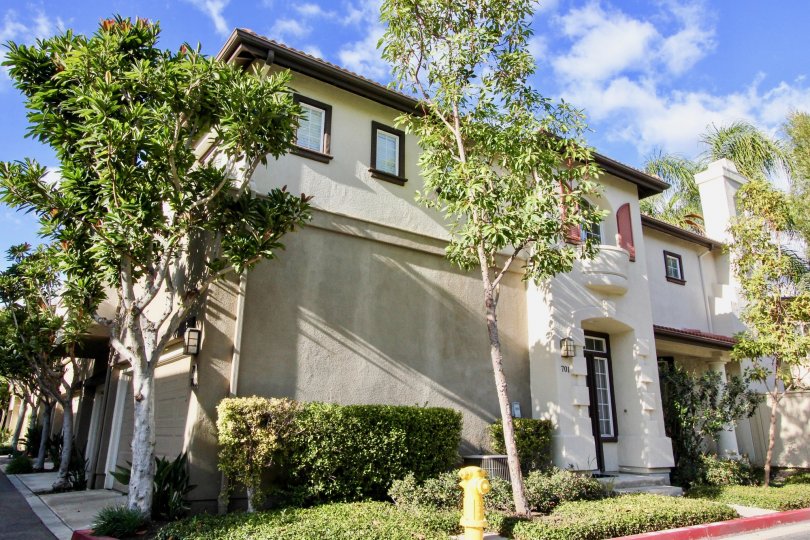 Northwood Pointe Condos, Lofts & Townhomes For Sale Northwood Pointe