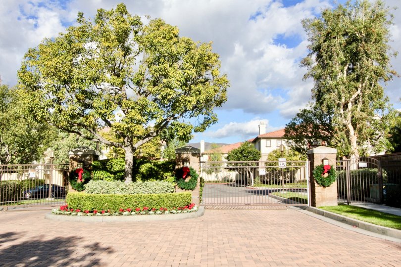 Northwood Pointe Condos, Lofts & Townhomes For Sale Northwood Pointe