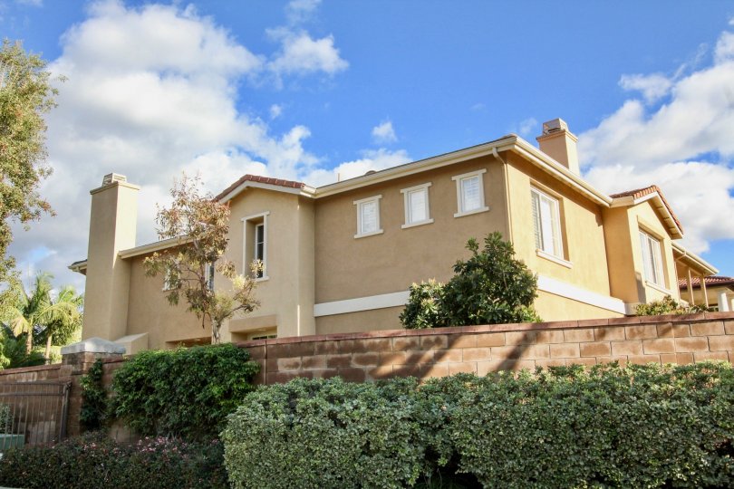 Northwood Pointe Condos, Lofts & Townhomes For Sale Northwood Pointe