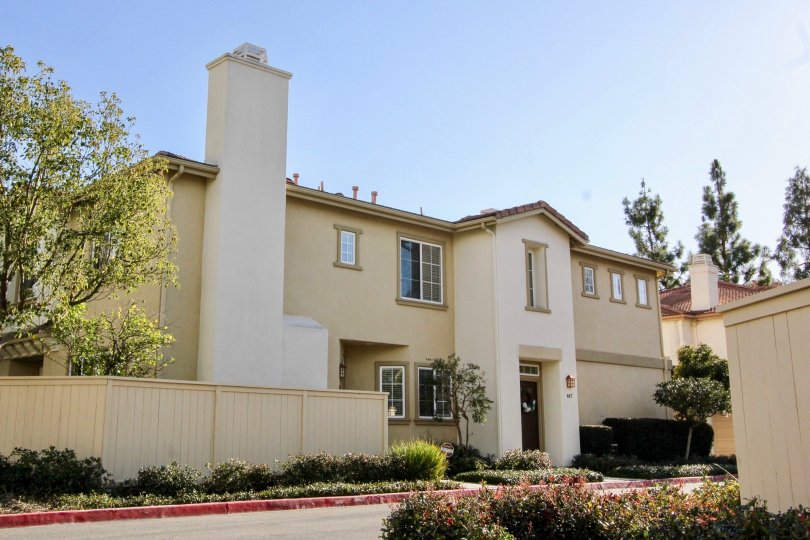 Northwood Pointe Condos, Lofts & Townhomes For Sale Northwood Pointe